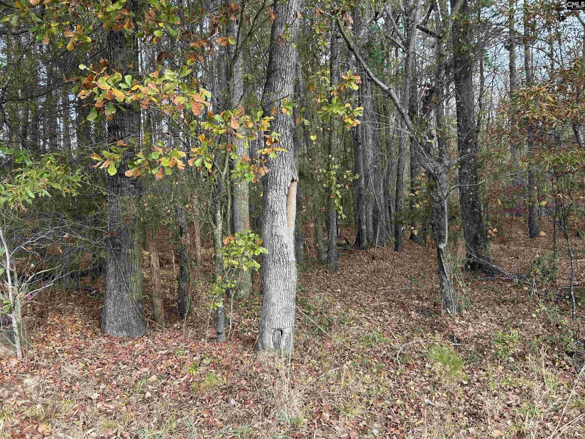 440 Paschal Road Photo 13