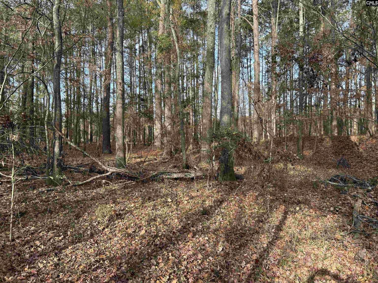 440 Paschal Road Photo 14