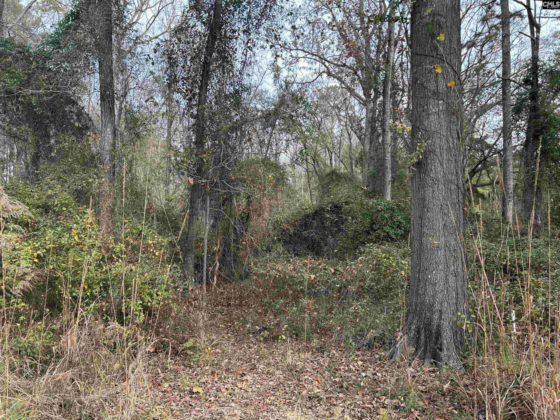 440 Paschal Road Photo 14