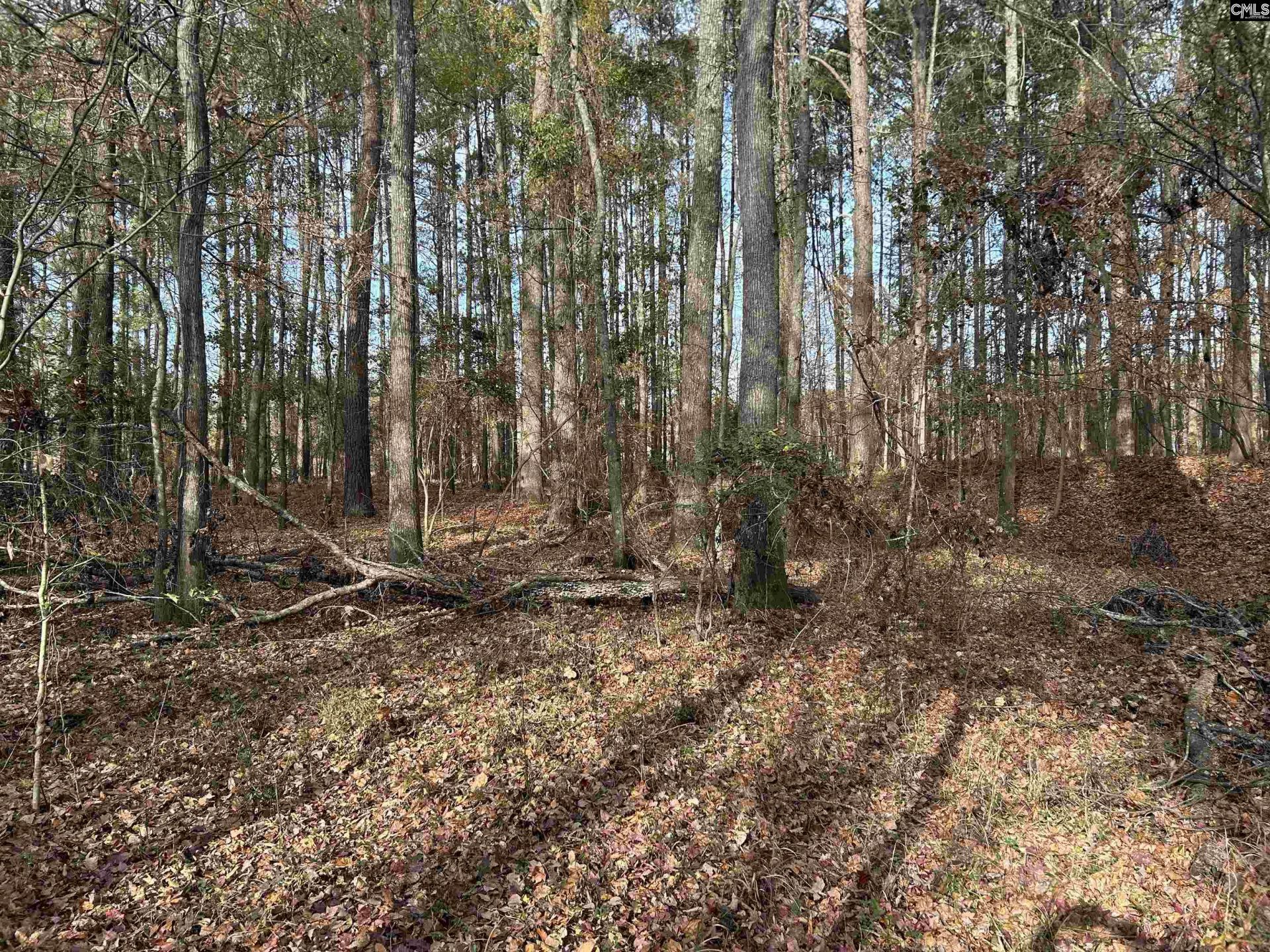 440 Paschal Road Photo 15