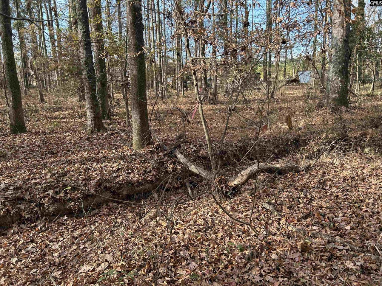 440 Paschal Road Photo 16