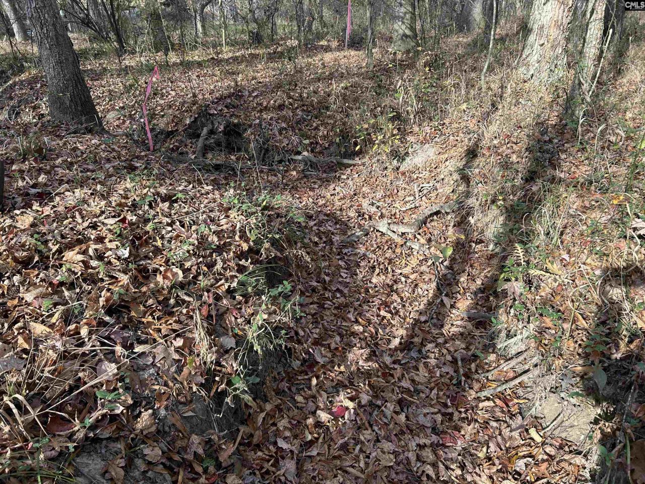 440 Paschal Road Photo 17