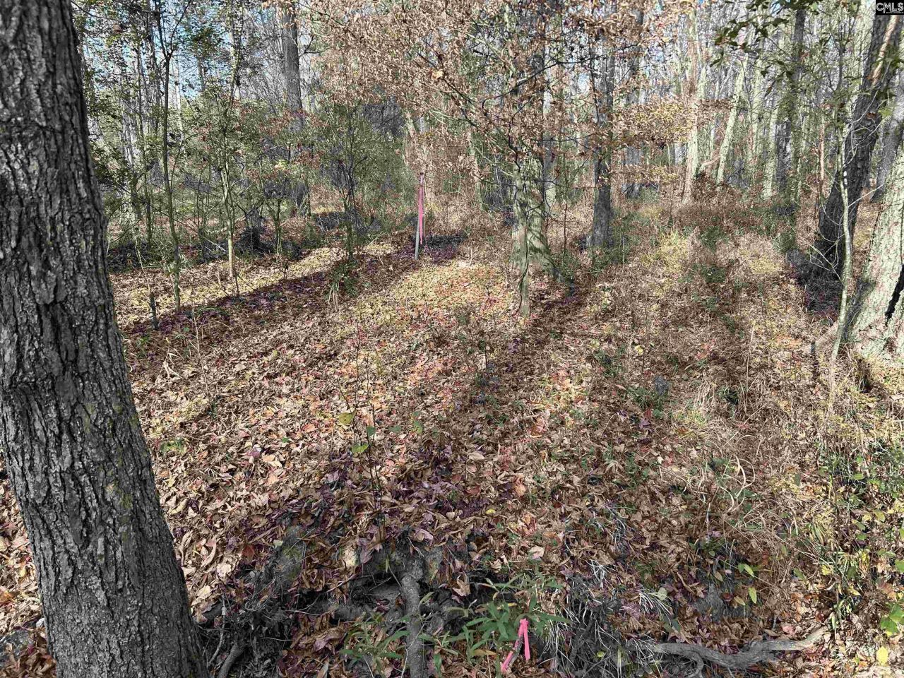 440 Paschal Road Photo 18