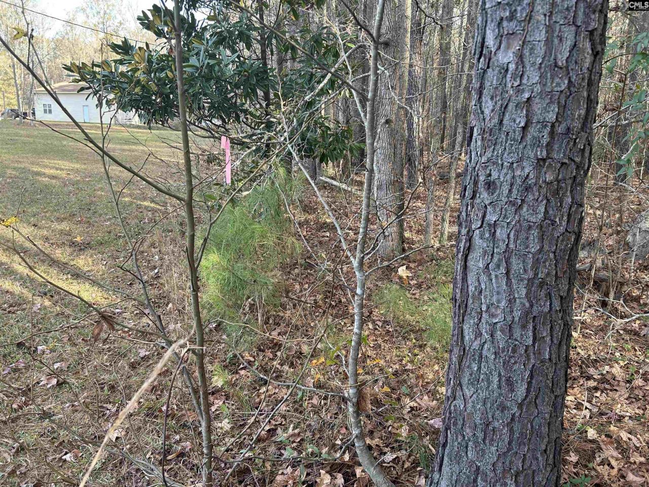 440 Paschal Road Photo 19