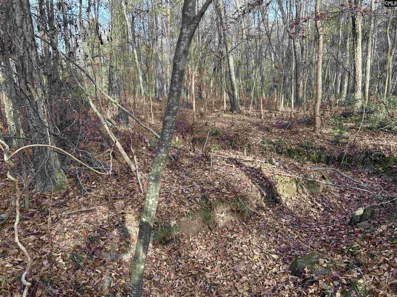 440 Paschal Road Photo 20