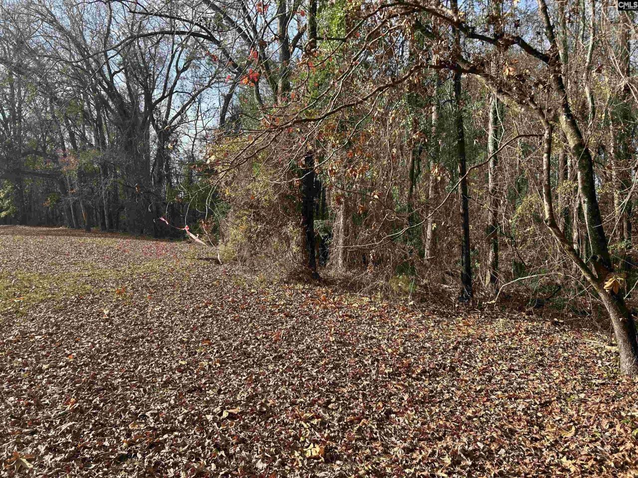 440 Paschal Road Photo 21