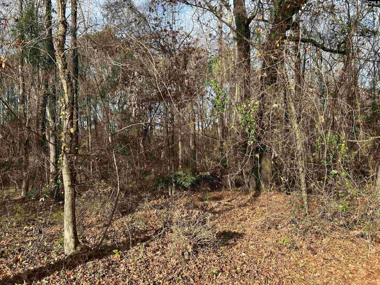 440 Paschal Road Photo 22