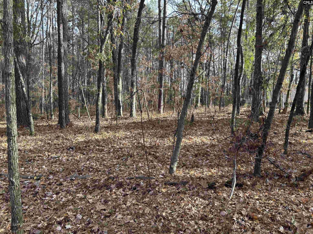 440 Paschal Road Photo 23