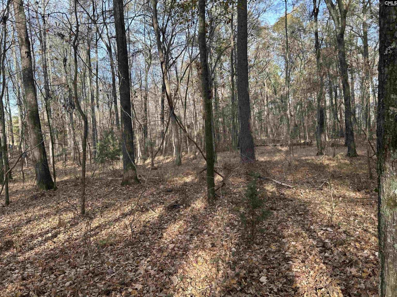 440 Paschal Road Photo 24