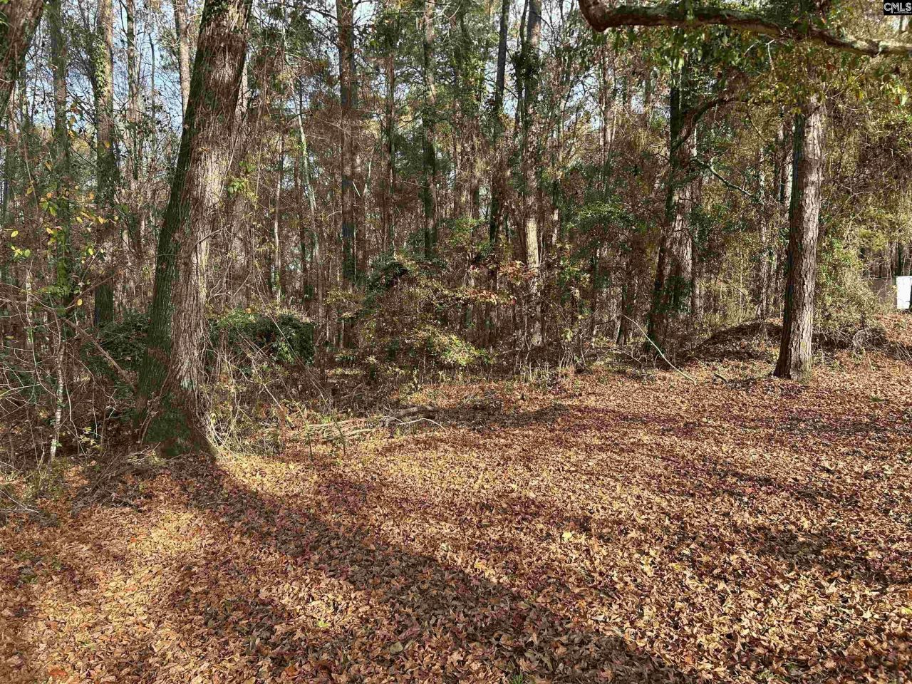 440 Paschal Road Photo 5