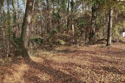 440 Paschal Road photo 4