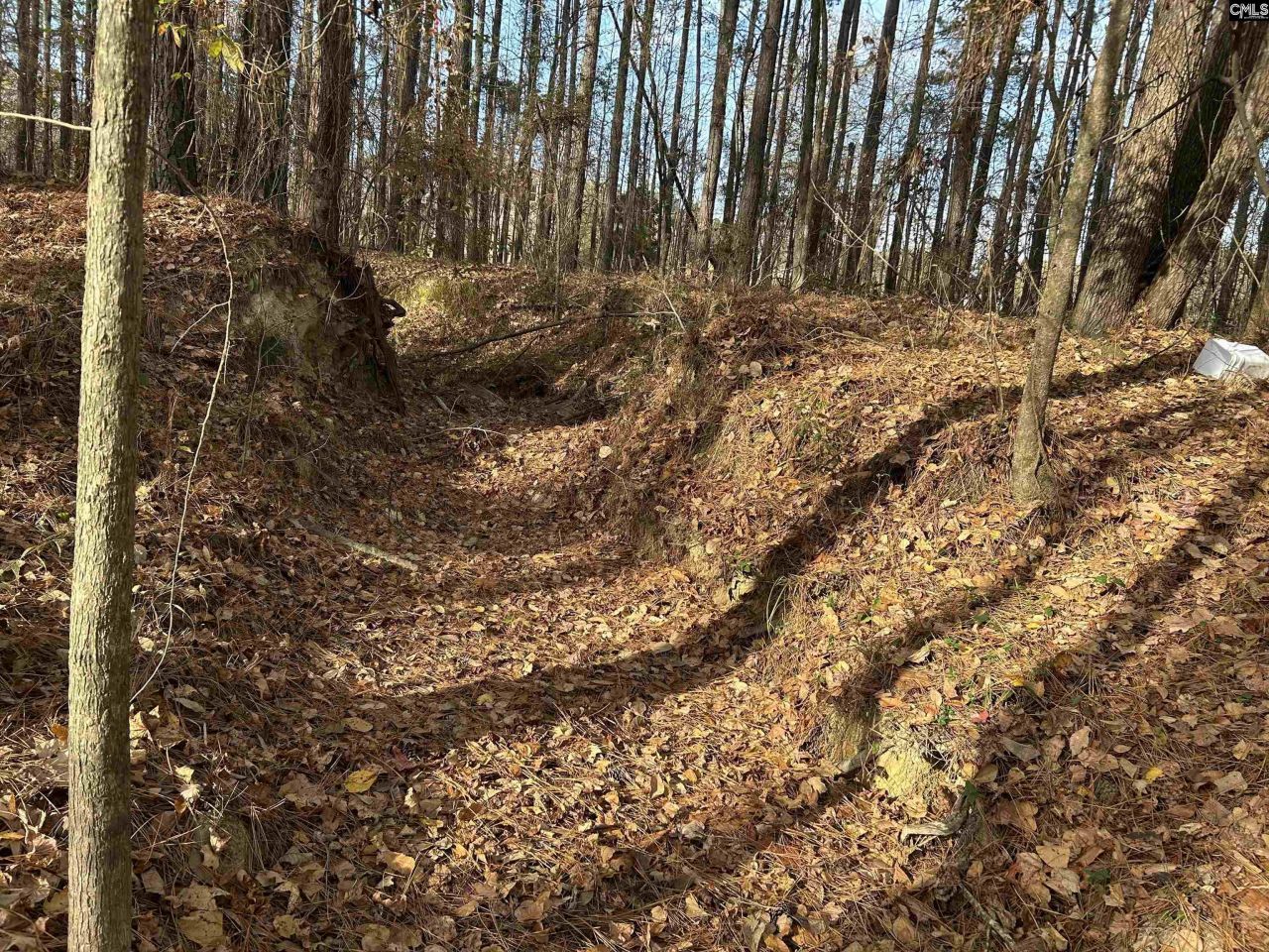 440 Paschal Road Photo 6