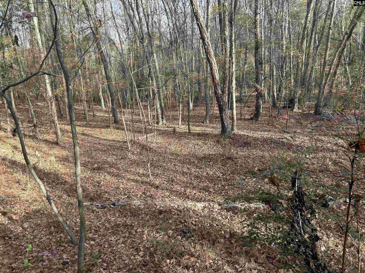 440 Paschal Road Photo 7