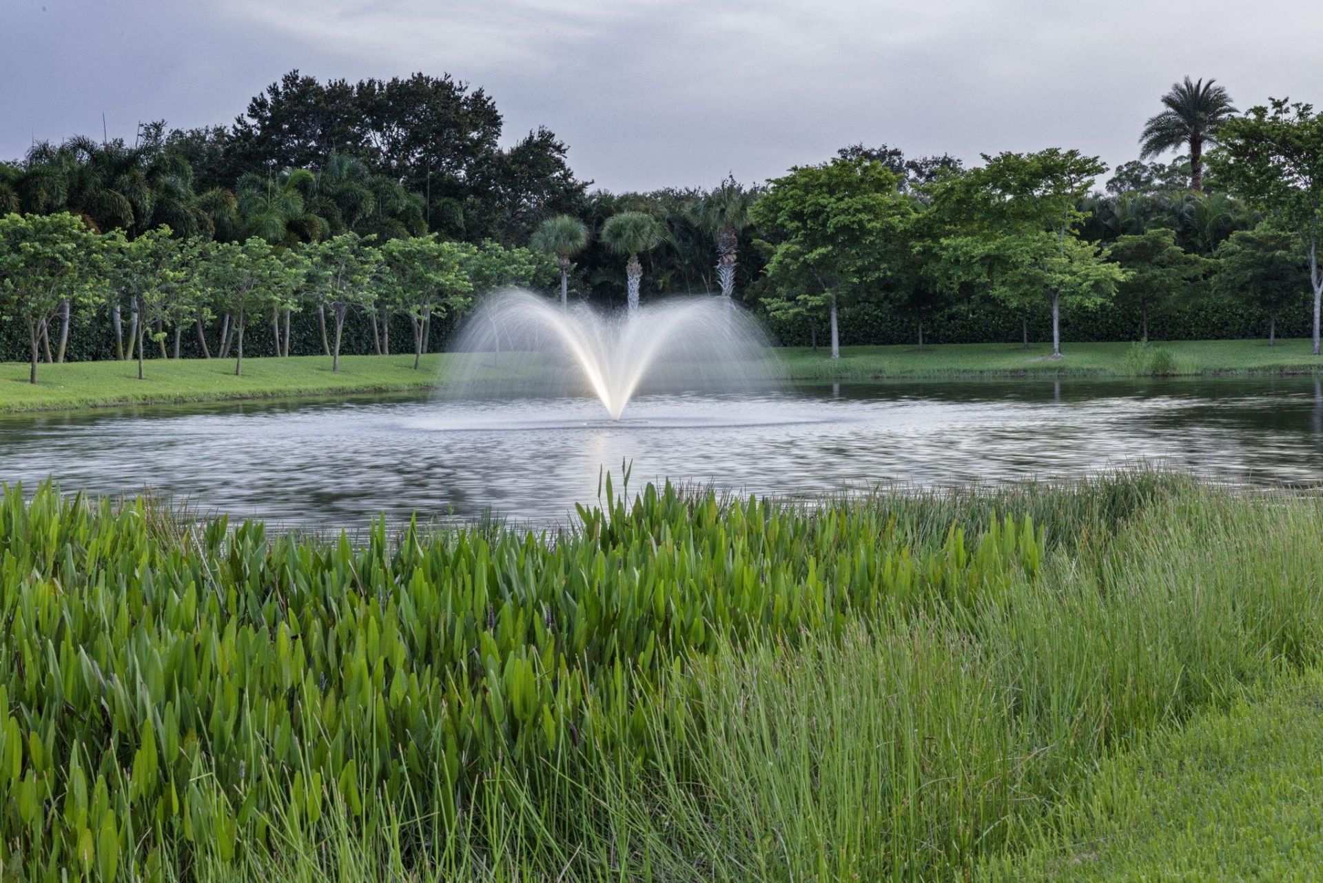 15527 Imperial Point Lane, Wellington, FL 33414 Photo