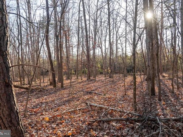 0 WOODLAND DRIVE, LURAY, VA 22835