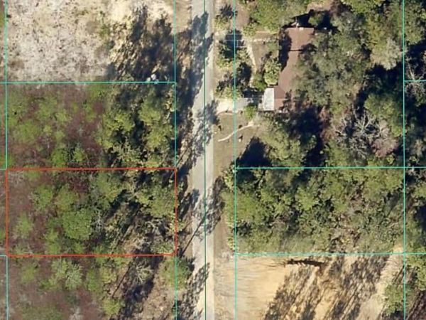 TBD NW NARCISSUS ROAD, DUNNELLON, FL 34431