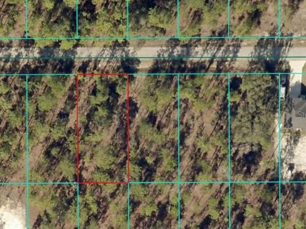 TBD NW TAMARIND LANE, DUNNELLON, FL 34431