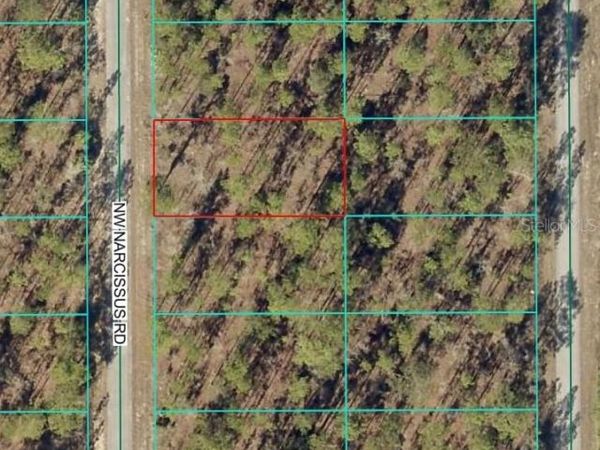 TBD1 NW NARCISSUS ROAD, DUNNELLON, FL 34431