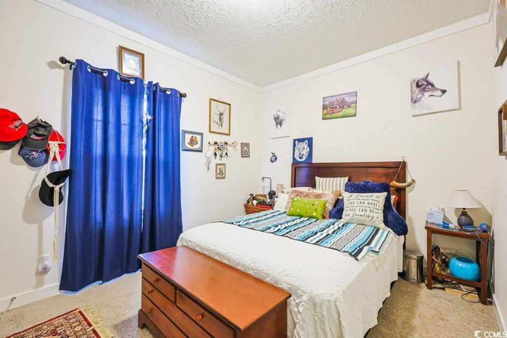 4458 Old Buck Creek Rd. Photo 19