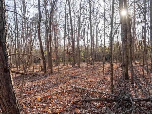 0 WOODLAND DR, LURAY, VA 22835