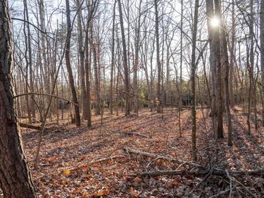 0 WOODLAND DR, LURAY, VA 22835