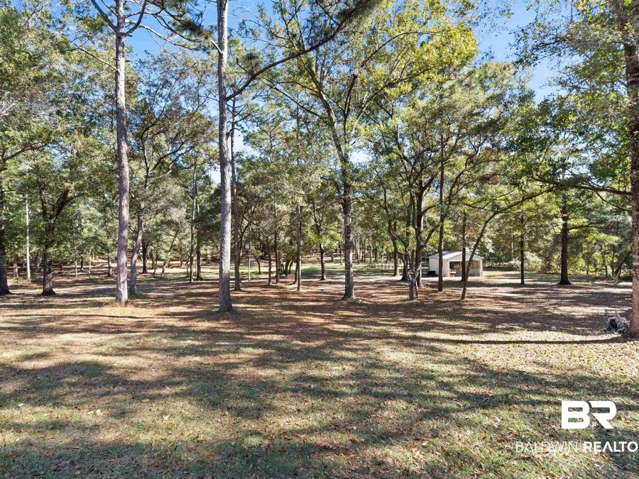 Property Image 61