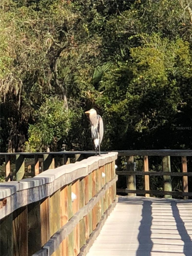 5577 Key West Place, Unit 5577, Bradenton, FL 34203 Photo