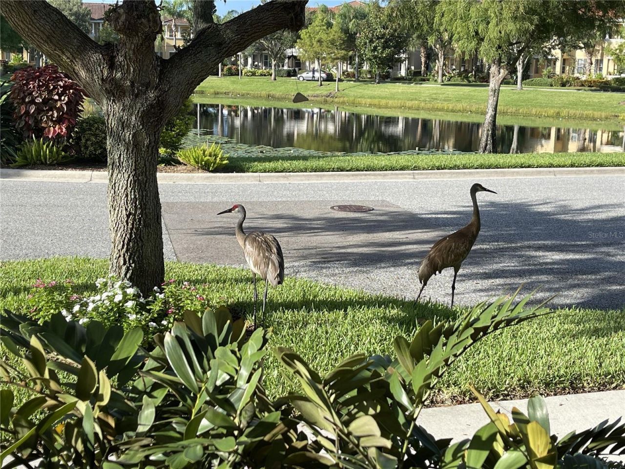 3810 82nd Avenue Circle E, Unit 106, Sarasota, FL 34243 Photo