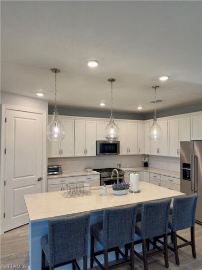 20285 Napa Loop, Estero, FL 33928 Photo