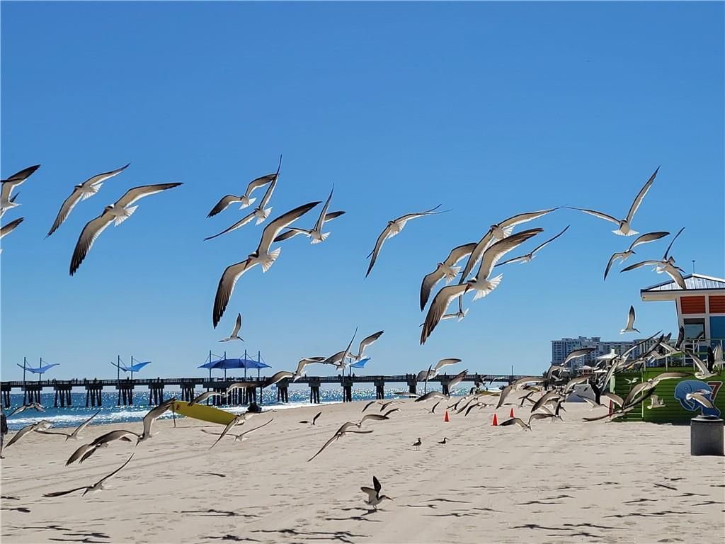 1009 N Ocean Boulevard, Unit 303, Pompano Beach, FL 33062 Photo