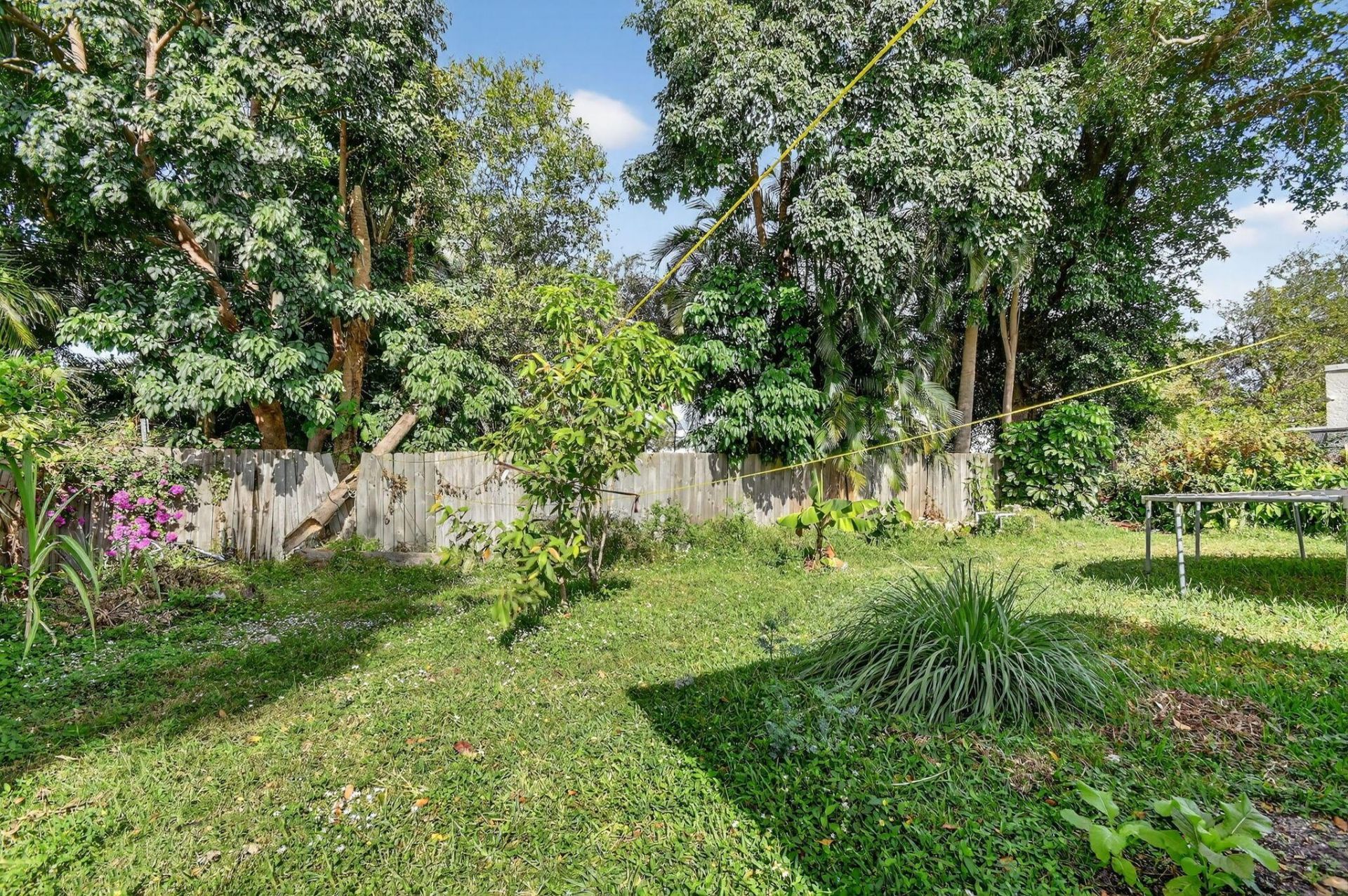 4559 Cole Street, West Palm Beach, FL 33417 Photo