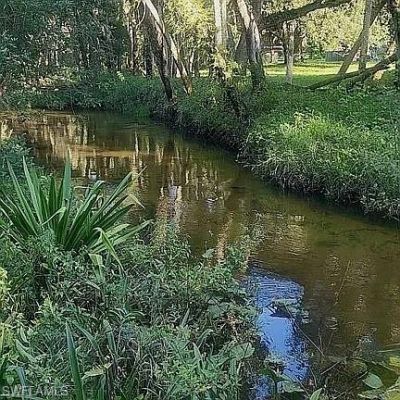 23261 Tuckahoe Rd, Alva, FL 33920 Photo