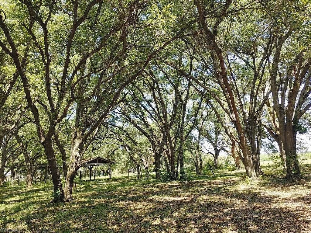 23261 Tuckahoe Rd, Alva, FL 33920 Photo