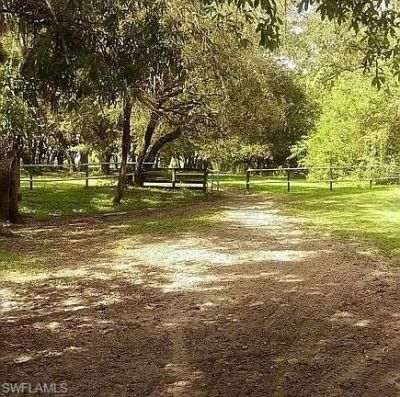 23261 Tuckahoe Rd, Alva, FL 33920 Photo