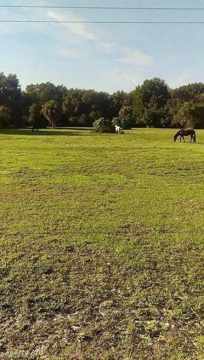 23261 Tuckahoe Rd, Alva, FL 33920 Photo