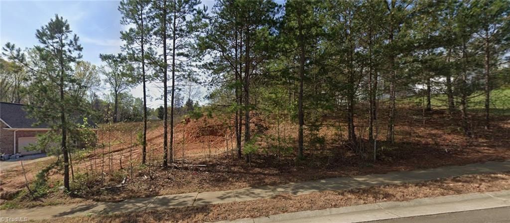 7442 Birchbend Lane, Lot #Lot 7, Lewisville, NC 27023 Main Photo