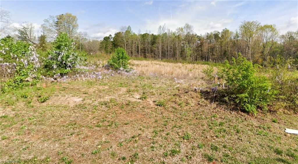 7491 Birchbend Lane, Lot #Lot 1, Lewisville, NC 27023 Main Photo