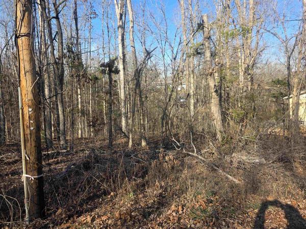 L-4 B-4 Powhatan Drive, Cherokee Village, AR 72529