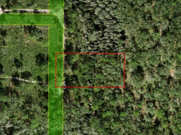 0 County RD 54 E, Kathleen, FL 33849