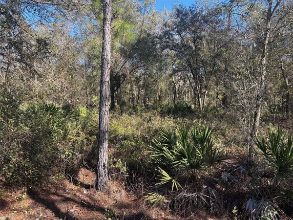 0 County Rd 54, Kathleen, FL 33849