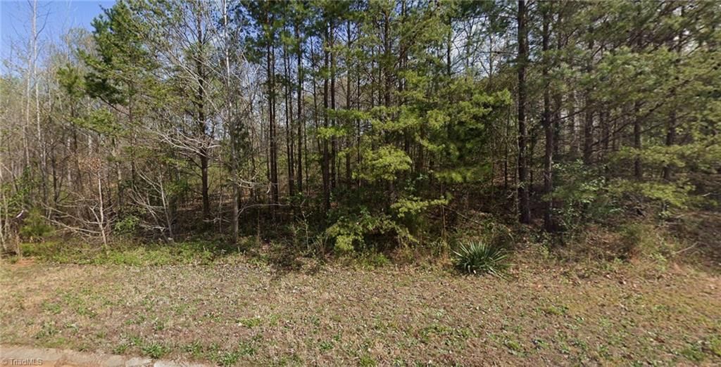 7411 Birchbend Lane, Lot #Lot 5, Lewisville, NC 27023 Main Photo