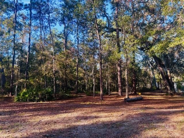3351 Rackley Road, Brooksville, FL 34604 Photo