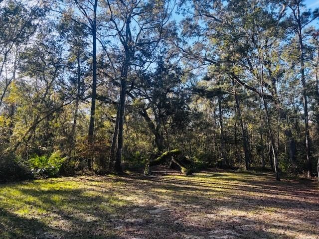 3351 Rackley Road, Brooksville, FL 34604 Photo