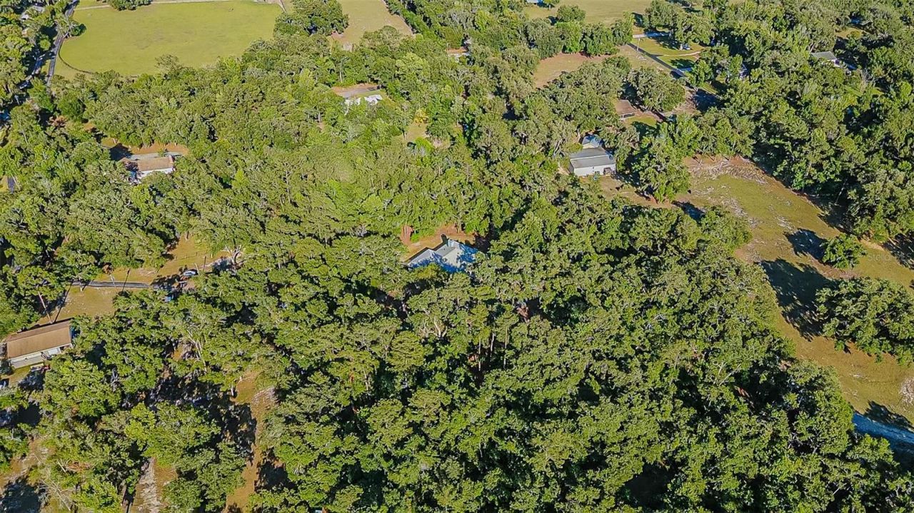 3351 Rackley Road, Brooksville, FL 34604 Photo