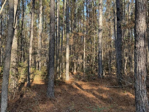 Corbit Boulevard, McLain, MS 39456