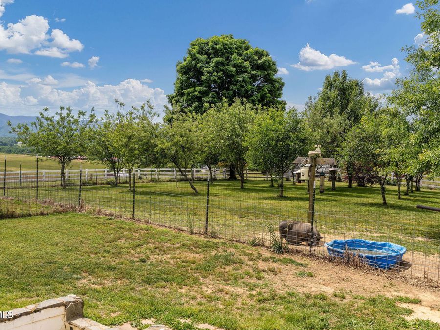 Property Image 81