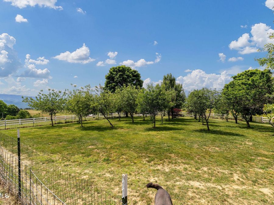 Property Image 82
