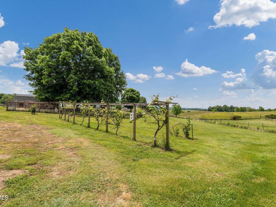 Property Image 93