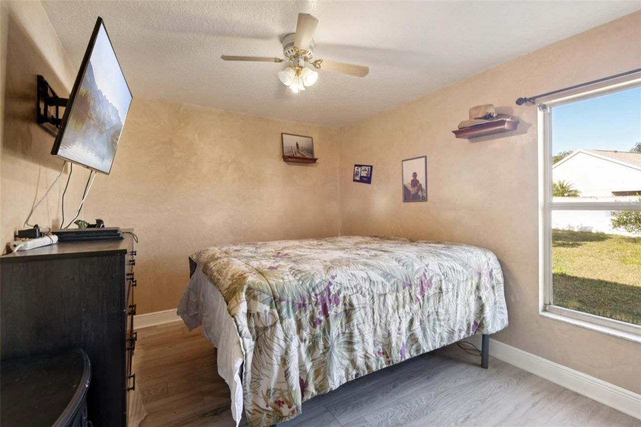 24311 Branchwood Court, Lutz, FL 33559 Photo