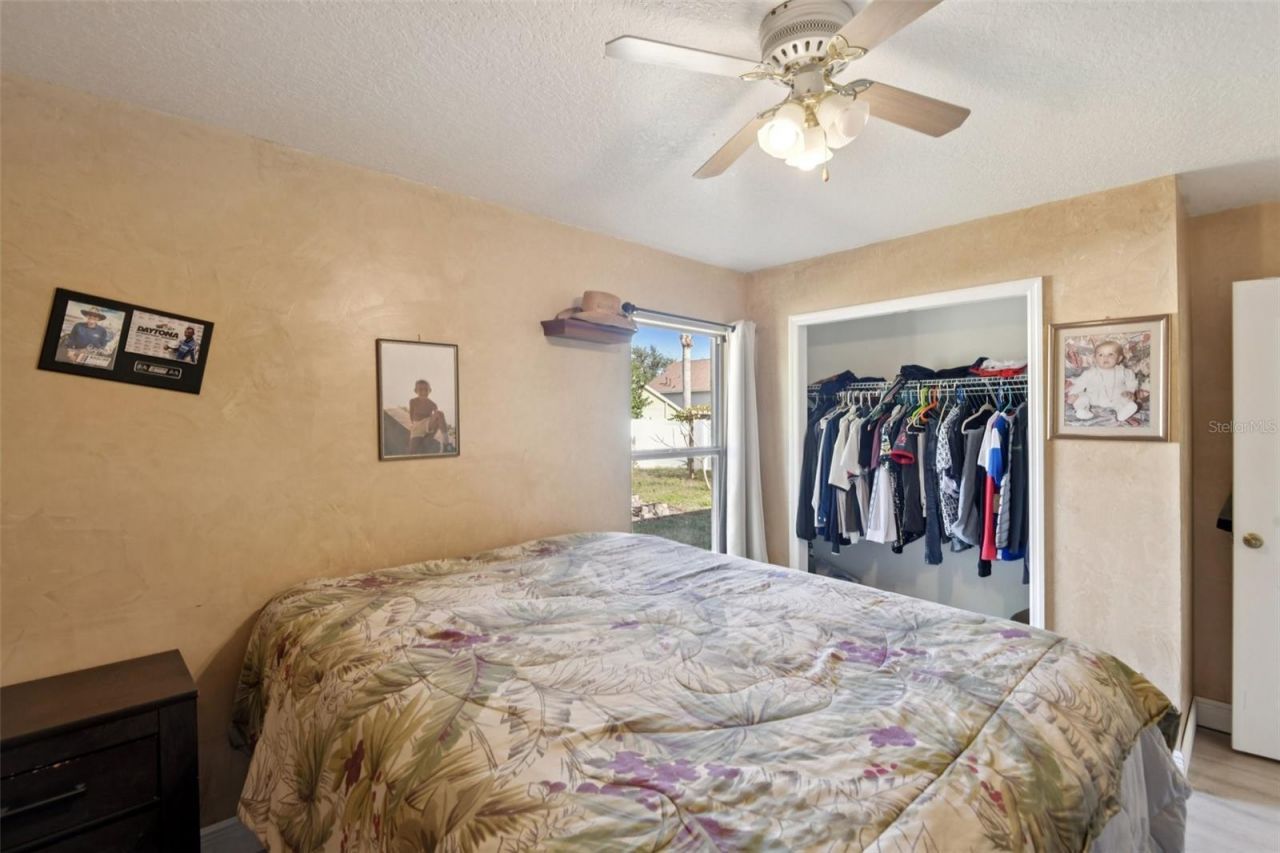 24311 Branchwood Court, Lutz, FL 33559 Photo